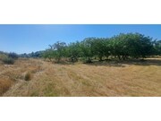 Terreno R�stico - Carvi�ais, Torre de Moncorvo, Bragan�a - Miniatura: 7/8