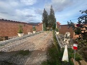 Terreno R�stico - Vila Verde de Ficalho, Serpa, Beja - Miniatura: 1/9
