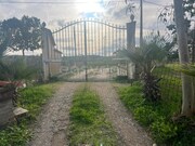 Terreno R�stico - Vila Verde de Ficalho, Serpa, Beja - Miniatura: 2/9
