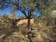 Moradia T1 - Torre de Moncorvo, Torre de Moncorvo, Bragan�a - Miniatura: 7/9