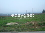 Terreno R�stico - Felgar, Torre de Moncorvo, Bragan�a - Miniatura: 2/3