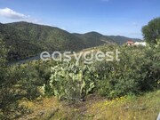 Terreno R�stico - Poiares, Freixo de Espada � Cinta, Bragan�a - Miniatura: 2/9