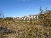 Terreno R�stico - Corte do Pinto, M�rtola, Beja - Miniatura: 6/9