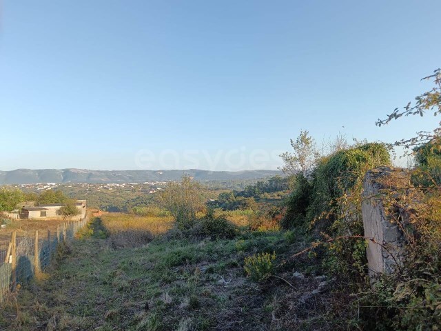 Moradia T3 - Aljubarrota, Alcoba�a, Leiria - Imagem grande