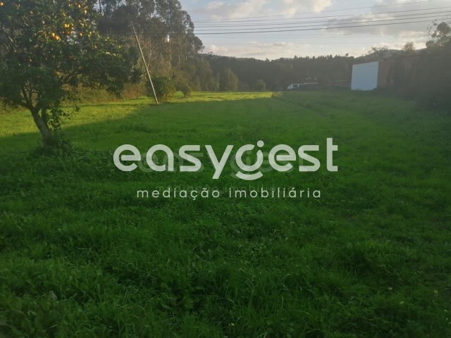 Terreno R�stico - Condeixa-a-Velha, Condeixa-a-Nova, Coimbra - Imagem grande
