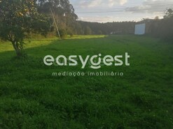Terreno R�stico - Condeixa-a-Velha, Condeixa-a-Nova, Coimbra