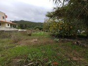 Terreno Urbano - Semide, Miranda do Corvo, Coimbra - Miniatura: 6/9