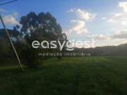 Terreno R�stico - Condeixa-a-Velha, Condeixa-a-Nova, Coimbra - Miniatura: 2/9