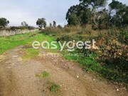 Terreno R�stico - Condeixa-a-Velha, Condeixa-a-Nova, Coimbra - Miniatura: 6/9