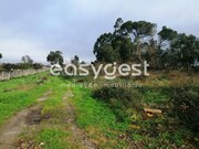 Terreno R�stico - Condeixa-a-Velha, Condeixa-a-Nova, Coimbra - Miniatura: 7/9