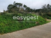 Terreno R�stico - Condeixa-a-Velha, Condeixa-a-Nova, Coimbra - Miniatura: 9/9
