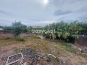 Moradia T1 - Santa Vit�ria, Beja, Beja - Miniatura: 6/9