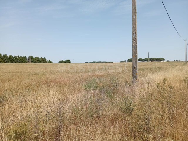 Terreno R�stico - Peg�es, Montijo, Set�bal - Imagem grande