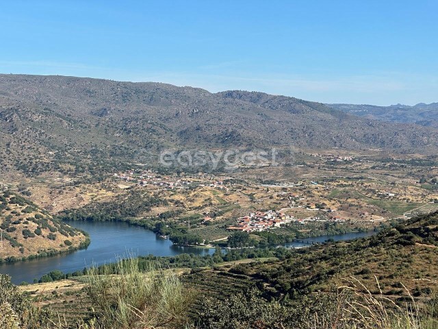 Terreno R�stico - Torre de Moncorvo, Torre de Moncorvo, Bragan�a - Imagem grande