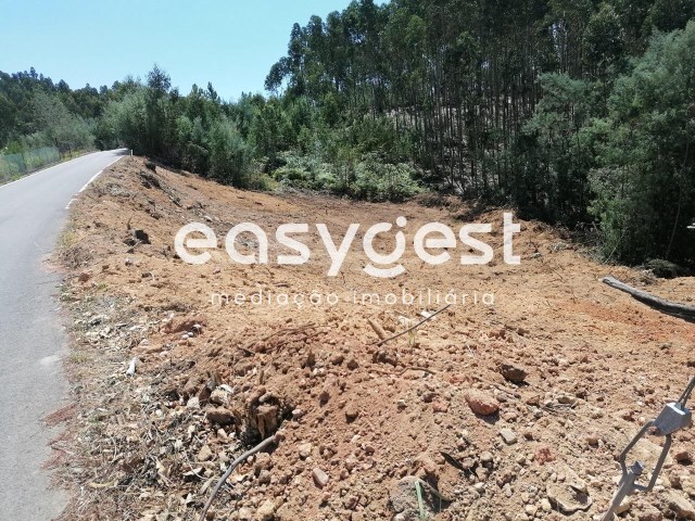 Terreno R�stico - Santa Clara, Coimbra, Coimbra - Imagem grande