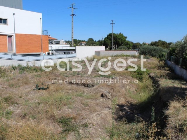 Terreno R�stico - Fail, Viseu, Viseu - Imagem grande