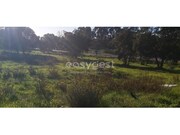 Terreno Urbano - Nossa Senhora de F�tima, Entroncamento, Santar�m - Miniatura: 7/7