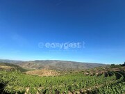 Terreno R�stico - Torre de Moncorvo, Torre de Moncorvo, Bragan�a - Miniatura: 4/9