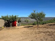 Terreno R�stico - Torre de Moncorvo, Torre de Moncorvo, Bragan�a - Miniatura: 6/9