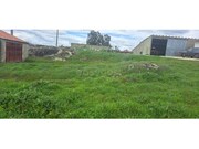 Moradia T0 - N�o Definido, Mogadouro, Bragan�a - Miniatura: 4/9