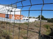 Terreno R�stico - Fail, Viseu, Viseu - Miniatura: 2/3