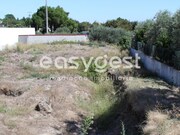 Terreno R�stico - Fail, Viseu, Viseu - Miniatura: 3/3