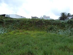 Terreno Rústico - Rosto de Cão (Livramento), Ponta Delgada, Ilha de S.Miguel