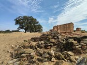 Moradia - Serpa, Serpa, Beja - Miniatura: 3/9