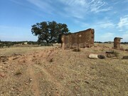 Moradia - Serpa, Serpa, Beja - Miniatura: 7/9