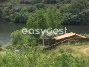 Terreno R�stico - Urros, Torre de Moncorvo, Bragan�a - Miniatura: 2/9
