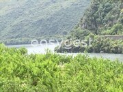 Terreno R�stico - Urros, Torre de Moncorvo, Bragan�a - Miniatura: 5/9