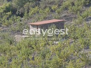 Terreno R�stico - Urros, Torre de Moncorvo, Bragan�a - Miniatura: 7/9