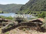 Terreno R�stico - Urros, Torre de Moncorvo, Bragan�a - Miniatura: 8/9