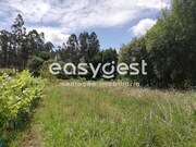 Terreno R�stico - REQUEIXO, NOSSA SENHORA DE F�TIMA E NARIZ, Aveiro, Aveiro - Miniatura: 2/9