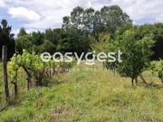 Terreno R�stico - REQUEIXO, NOSSA SENHORA DE F�TIMA E NARIZ, Aveiro, Aveiro - Miniatura: 4/9