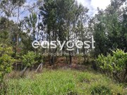 Terreno R�stico - REQUEIXO, NOSSA SENHORA DE F�TIMA E NARIZ, Aveiro, Aveiro - Miniatura: 5/9