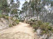 Terreno R�stico - REQUEIXO, NOSSA SENHORA DE F�TIMA E NARIZ, Aveiro, Aveiro - Miniatura: 9/9