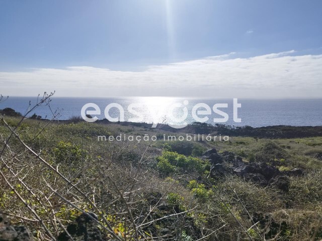 Terreno Rstico - Candelria, Madalena, Ilha do Pico - Imagem grande