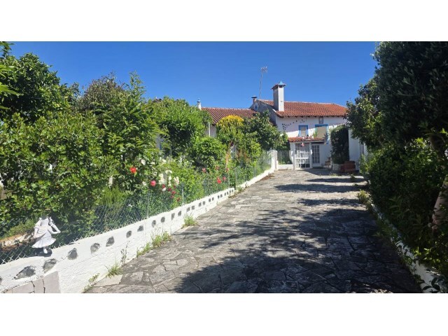Moradia T3 - �guas Belas, Ferreira do Z�zere, Santar�m - Imagem grande