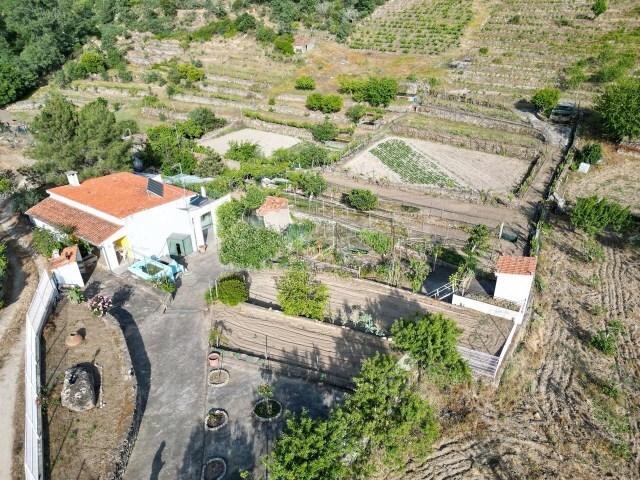 Terreno R�stico - Carvi�ais, Torre de Moncorvo, Bragan�a - Imagem grande