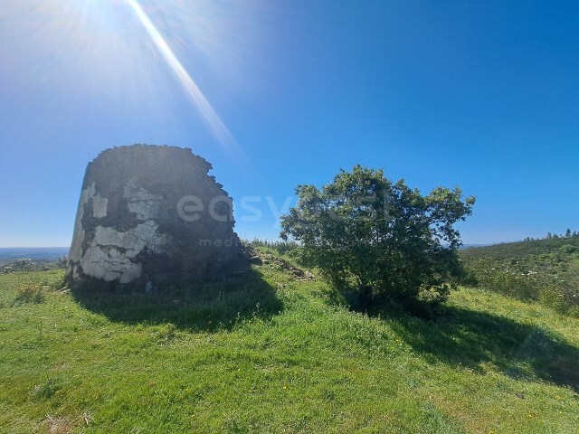 Moradia - S�o Martinho das Amoreiras, Odemira, Beja - Imagem grande