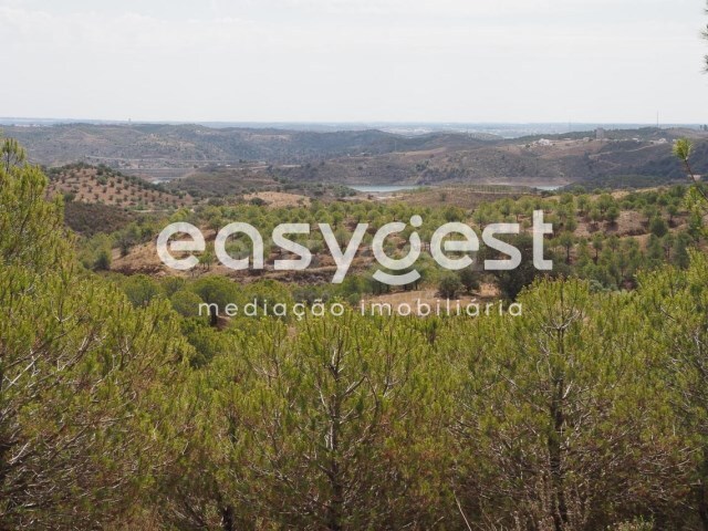 Terreno R�stico - Azinhal, Castro Marim, Faro (Algarve) - Imagem grande