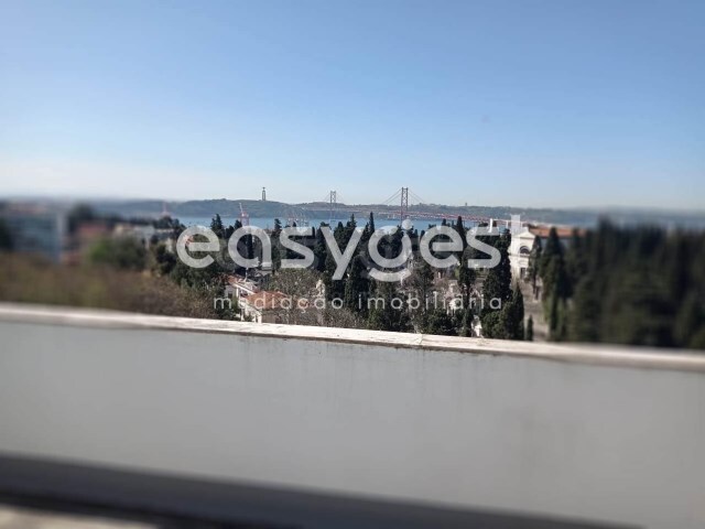 Apartamento T3 - Campo de Ourique, Lisboa, Lisboa - Imagem grande