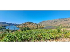 Terreno R�stico - Cabe�a Boa, Torre de Moncorvo, Bragan�a