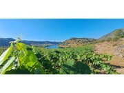 Terreno R�stico - Cabe�a Boa, Torre de Moncorvo, Bragan�a - Miniatura: 1/9