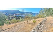 Terreno R�stico - Cabe�a Boa, Torre de Moncorvo, Bragan�a - Miniatura: 4/9