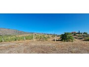 Terreno R�stico - Cabe�a Boa, Torre de Moncorvo, Bragan�a - Miniatura: 8/9