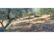 Terreno R�stico - Cabe�a Boa, Torre de Moncorvo, Bragan�a - Miniatura: 9/9