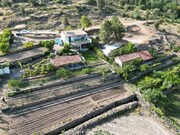 Terreno R�stico - Carvi�ais, Torre de Moncorvo, Bragan�a - Miniatura: 1/9
