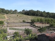 Terreno R�stico - Carvi�ais, Torre de Moncorvo, Bragan�a - Miniatura: 3/9